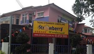 Strawberry Wonderland (Semenyih Mewah)